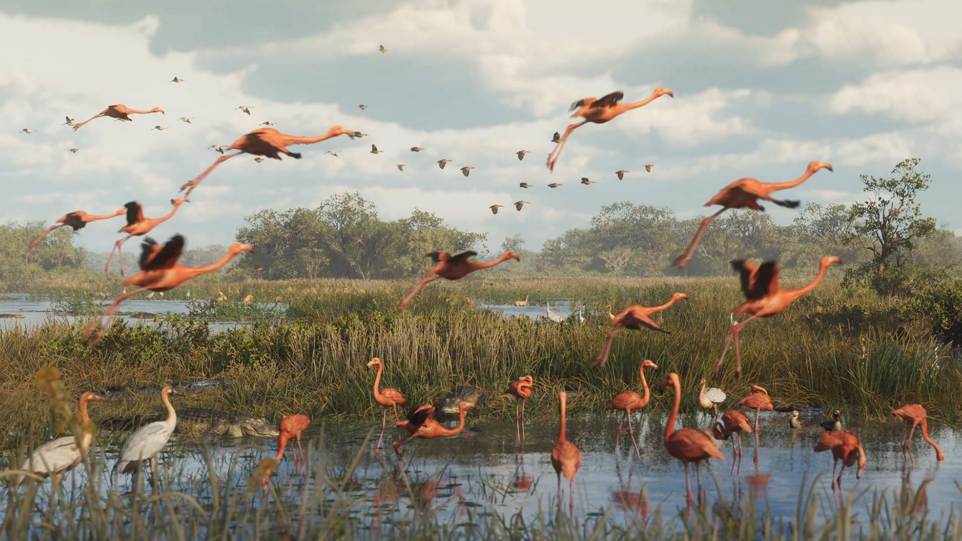 The different types of flora and fauna seen in the Grand Theft Auto 6 trailer (Image via Rockstar Games)