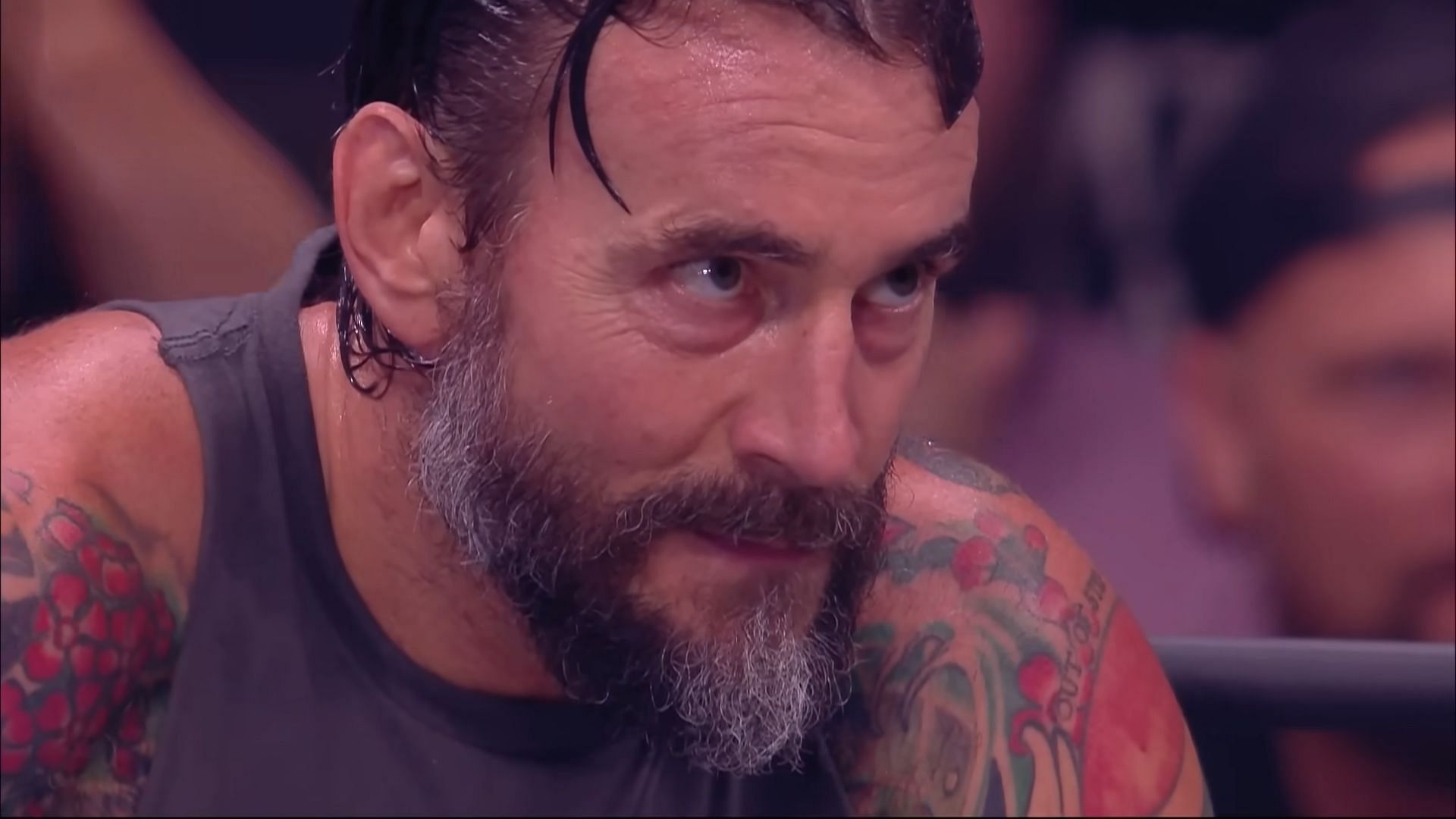 CM Punk is a two time AEW World Champion