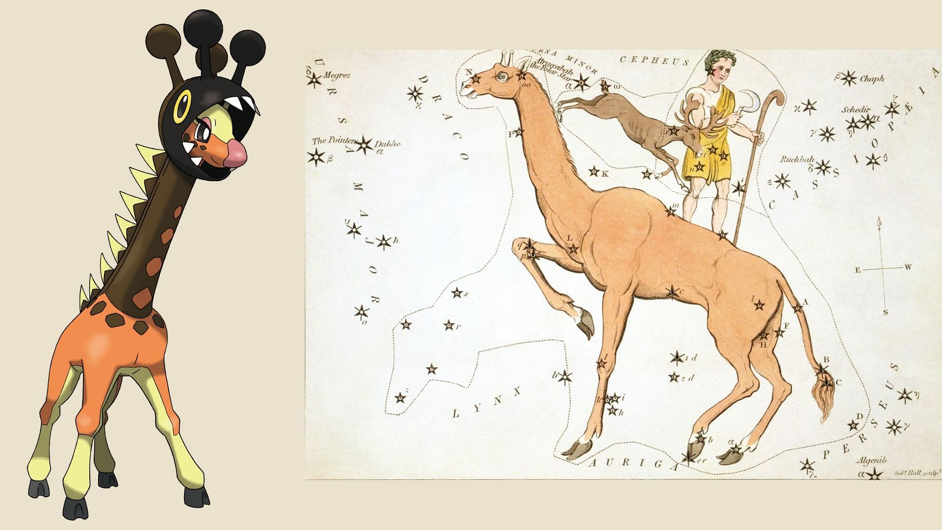 Farigiraf and Camelopardalis&#039; depiction (Image via The Pokemon Company and Wikipedia)