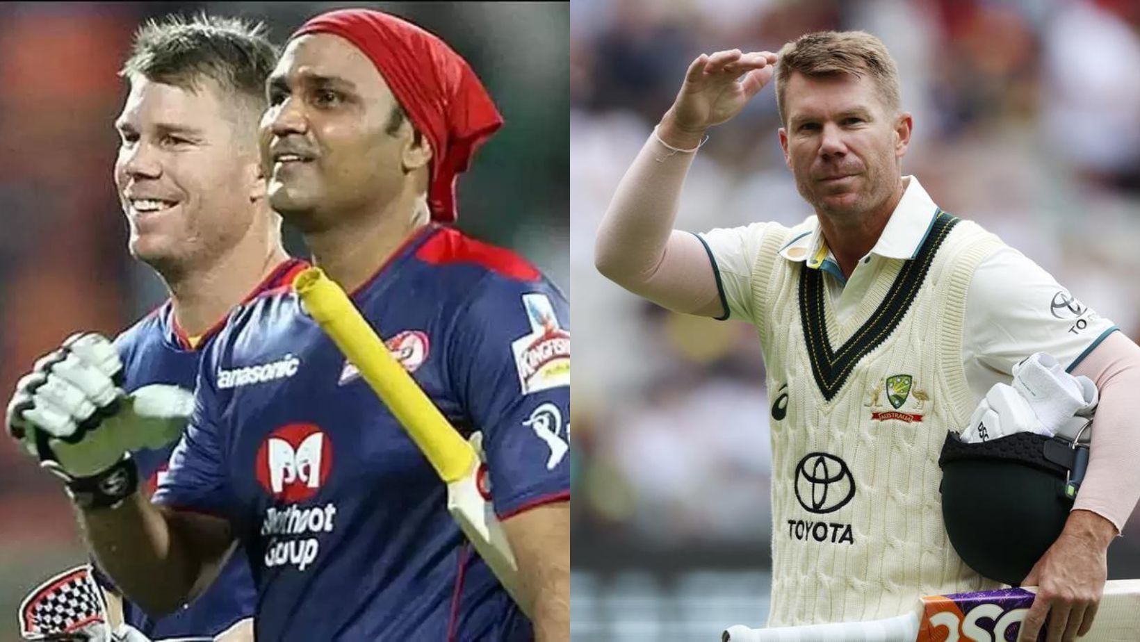 Virender Sehwag and David Warner played together for Delhi Daredevils in the IPL.