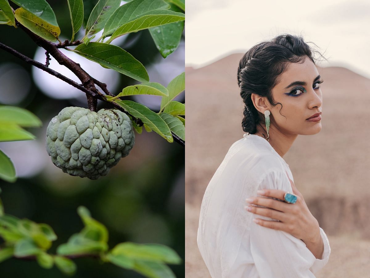 Beauty benefits of Custard apple: How to add this ingredient to your skin care routine