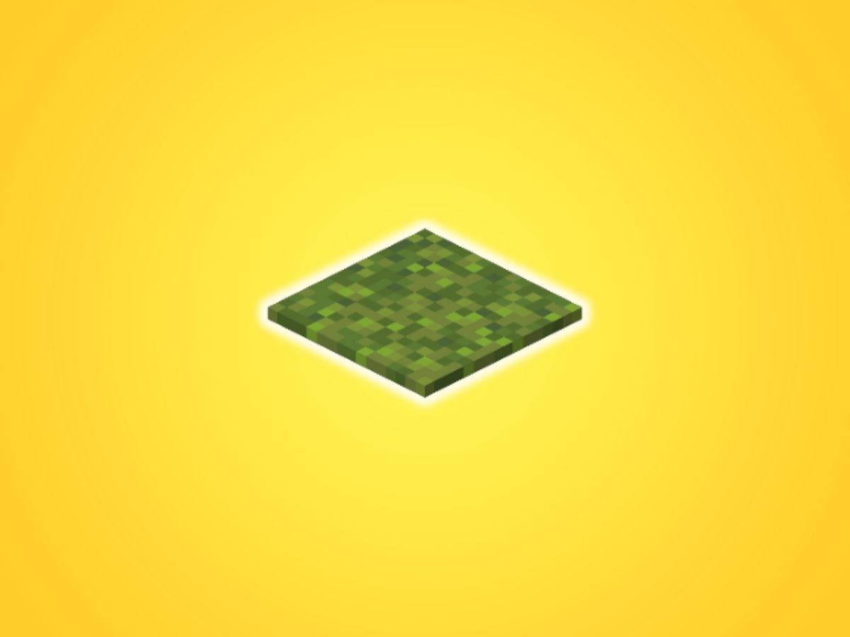 Moss Carpet - Wiki Guide 