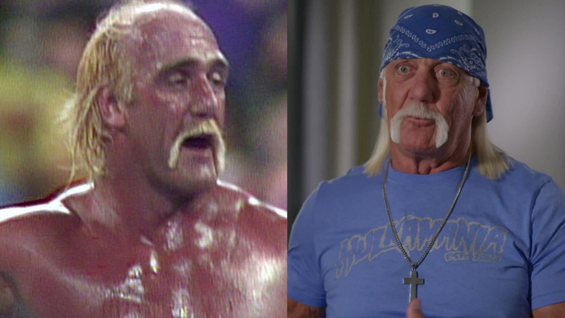 WWE Hall of Famer Hulk Hogan breaks silence after saving young woman's ...