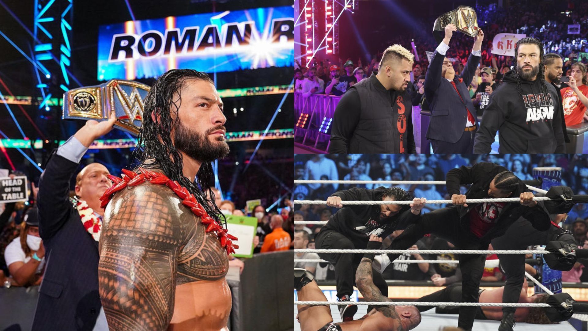 Roman Reigns will be in action at the Royal Rumble PLE