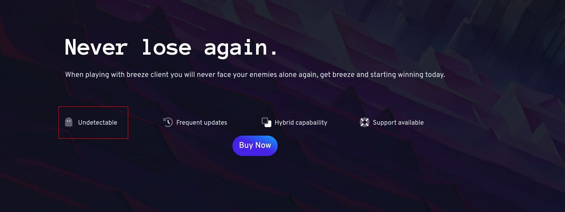 The website mentions the client is undetectable (Image via Breeze)