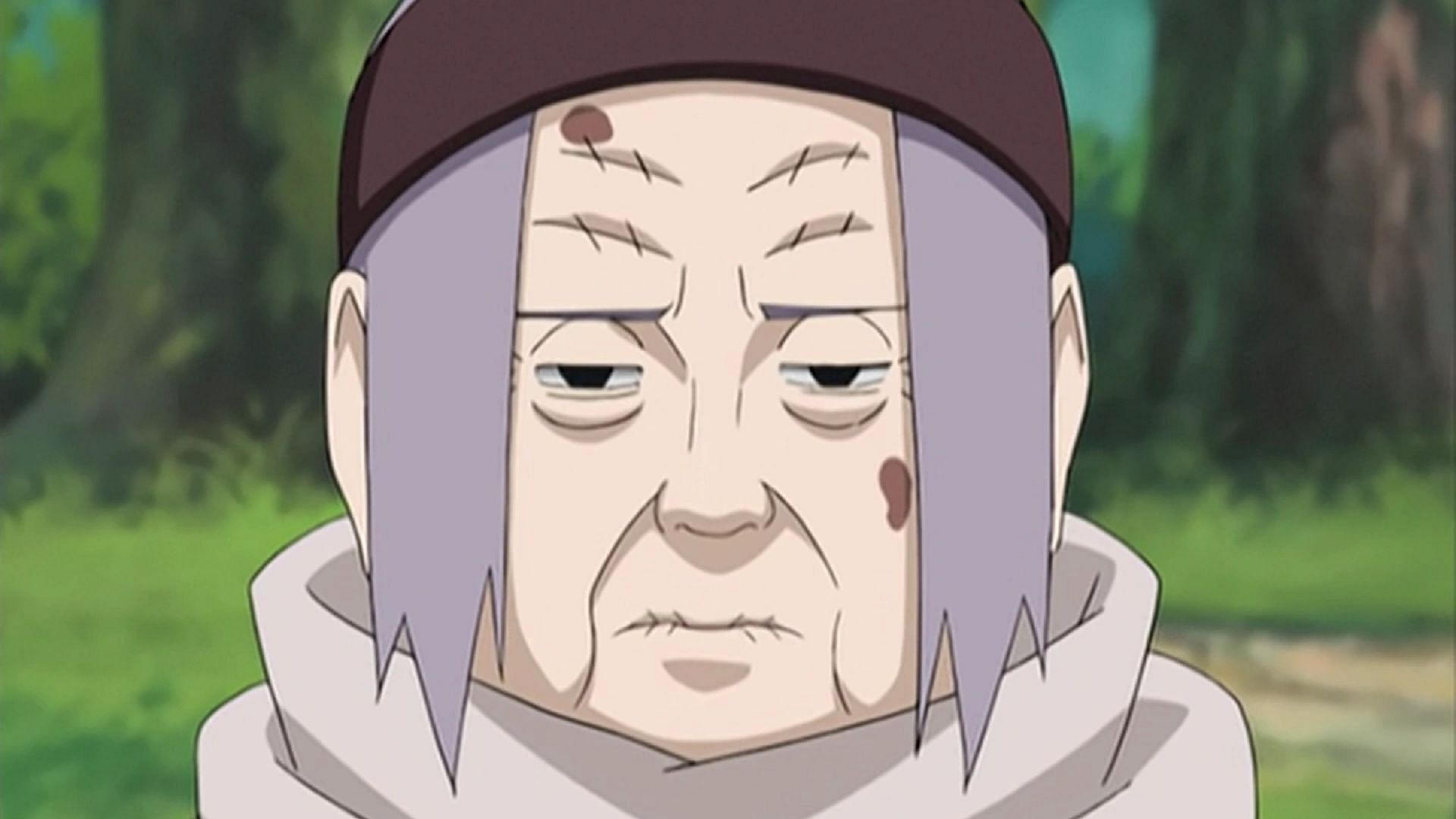 Chiyo (Image via Studio Pierrot, Naruto)