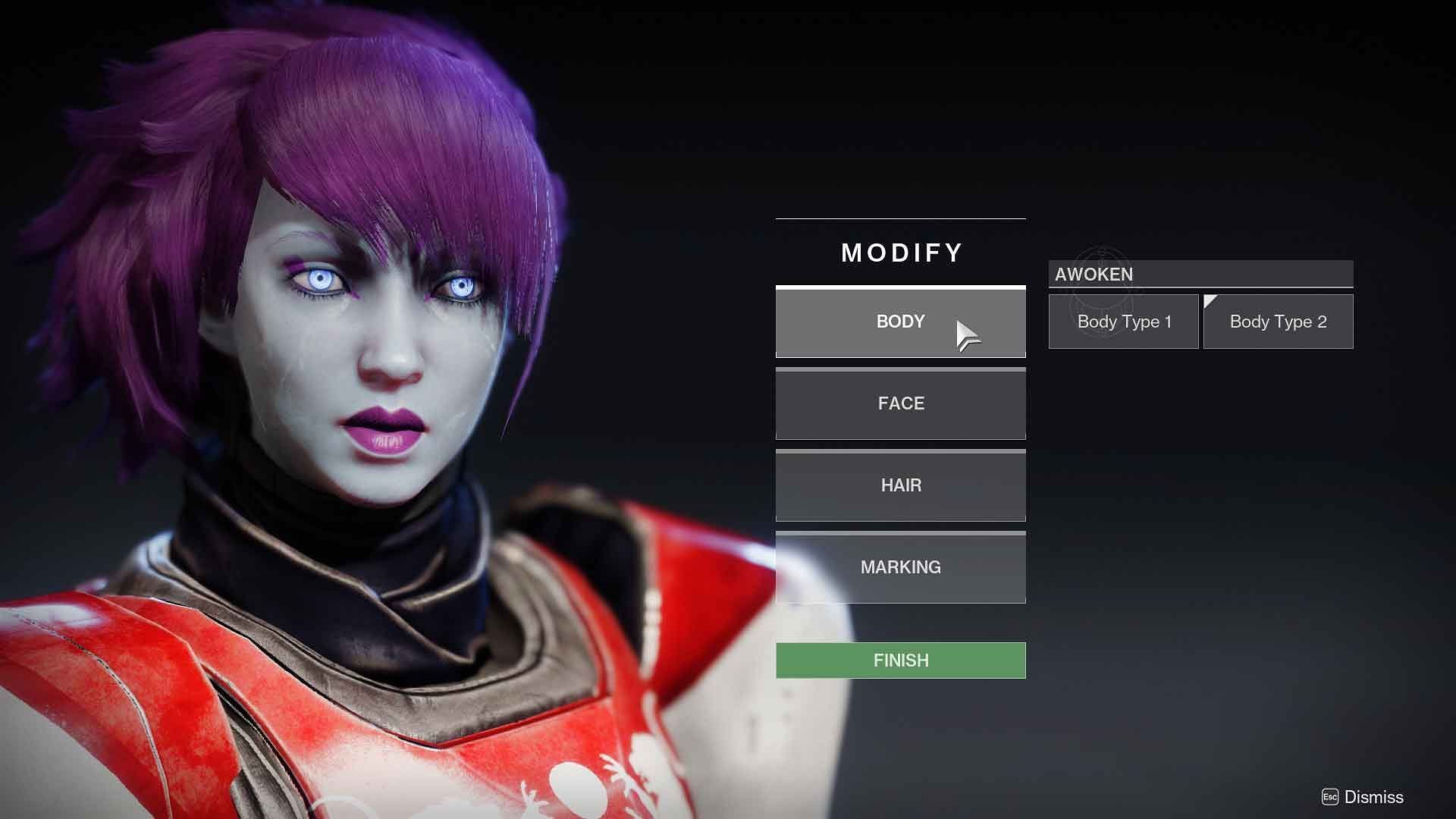 Character customization screen of Destiny 2 