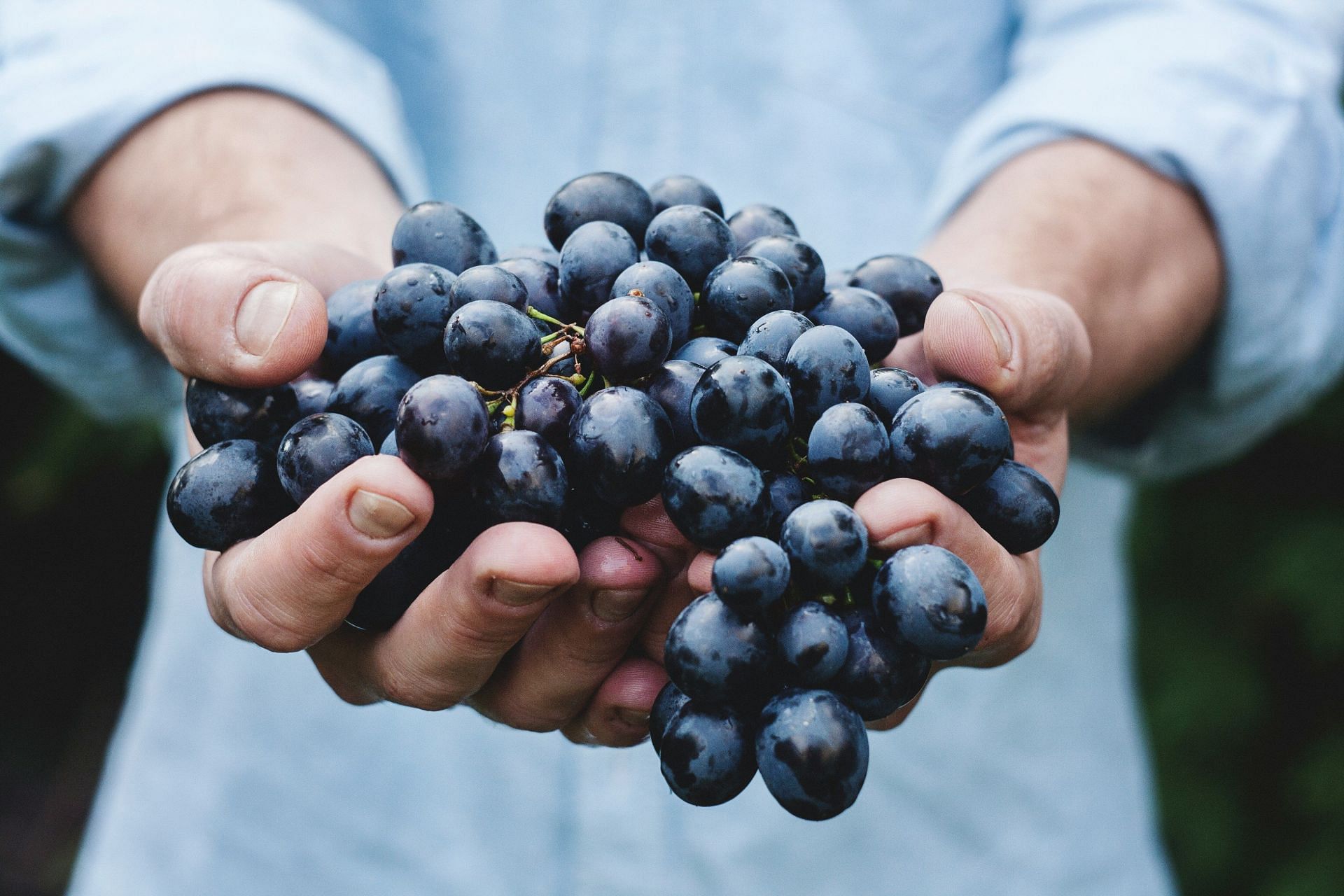 Drinking grape juice is healthy but not effective to fight a stomach bug (Image by Maja Petric/Unsplash)