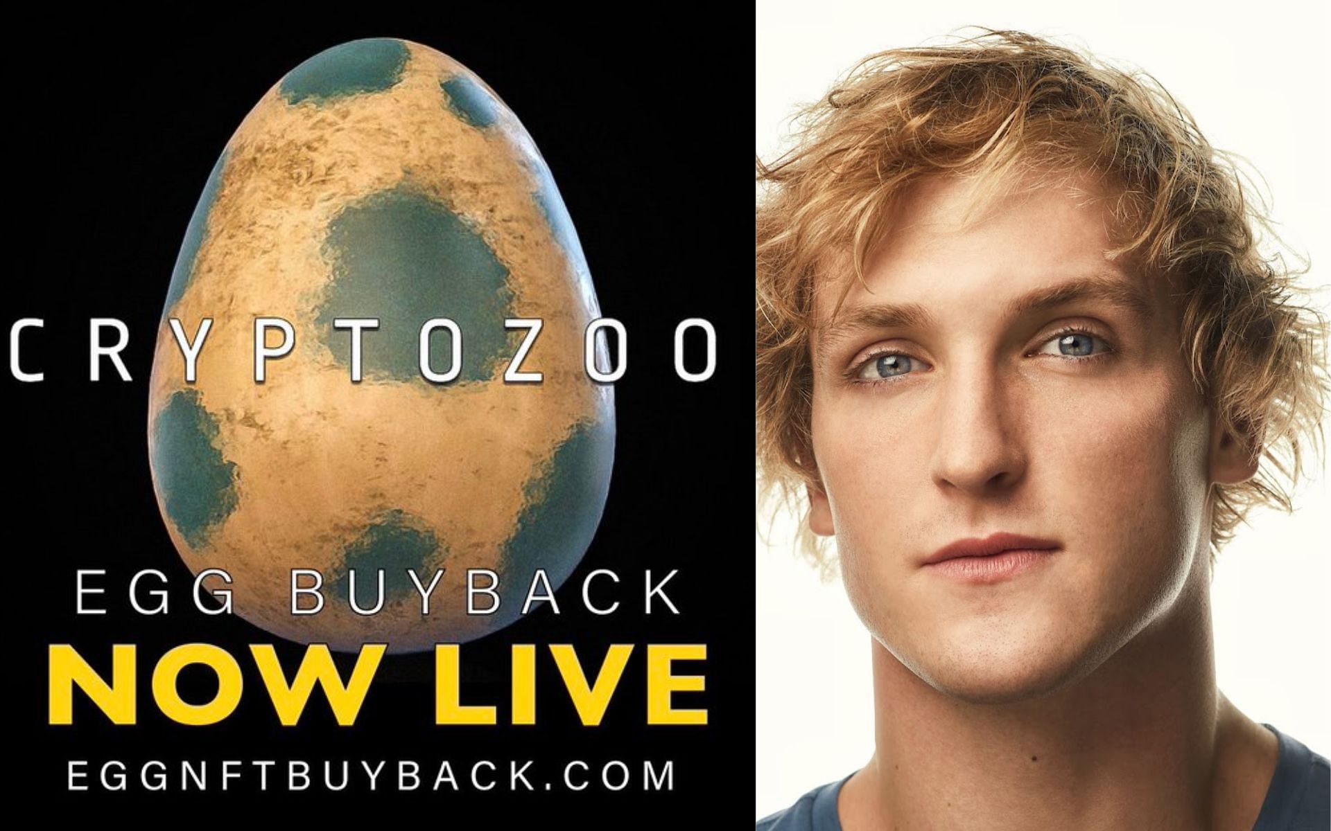 Logan Paul announces CryptoZoo Buyback scheme (Image via X/@LoganPaul)