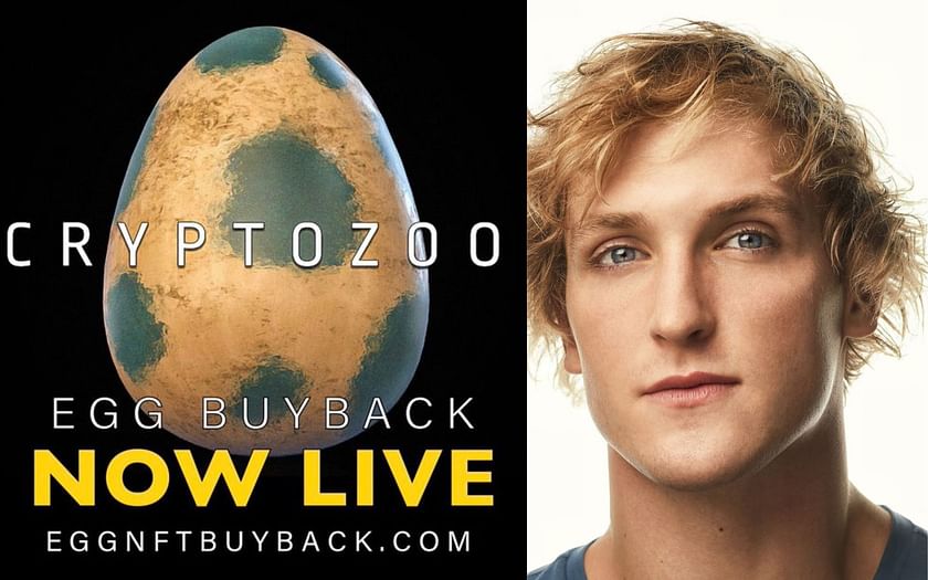 Logan Paul announces CryptoZoo buyback program a year after promising to  compensate victims