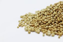 7 incredible black eyed pea benefits