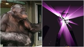 Minecraft content creator taught two apes to beat Ender Dragon