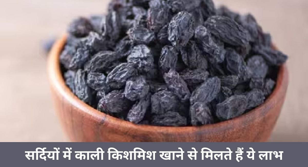 सर्दियों में काली किशमिश खाने से मिलते हैं ये लाभ(फोटो-Sportskeeda hindi)