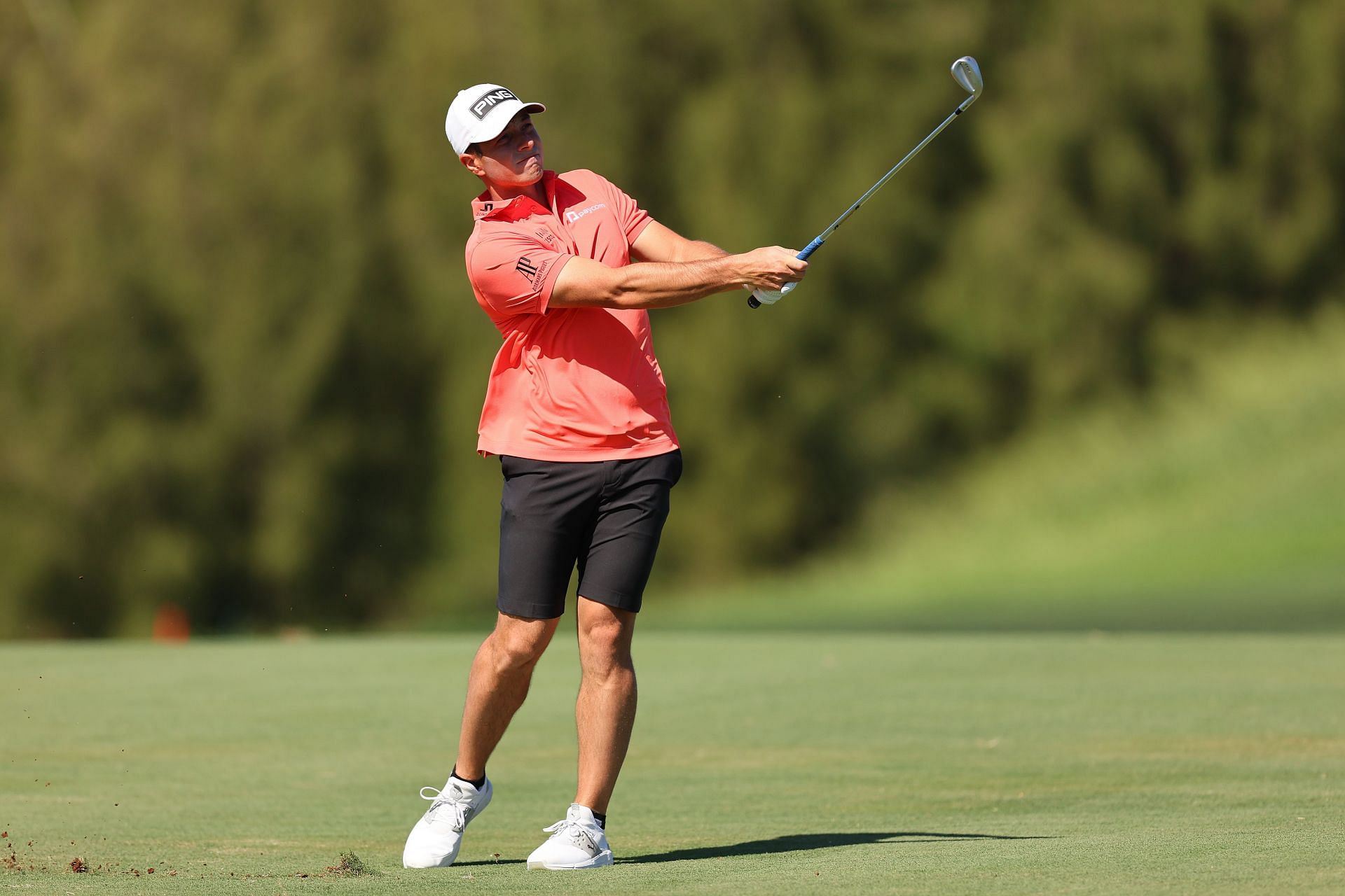 Viktor Hovland The Sentry - Preview Day Three (Image via Getty)