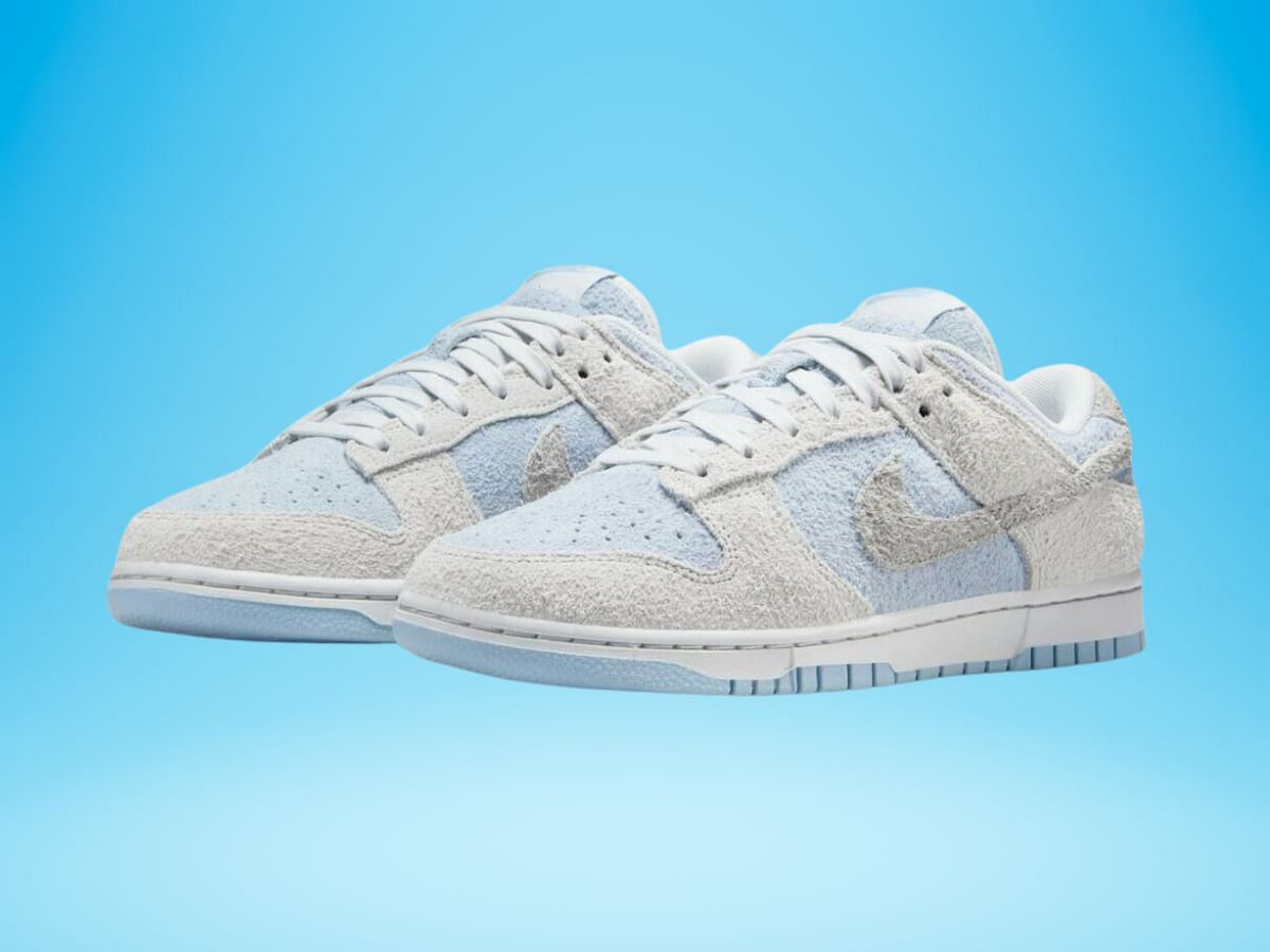 Nike Dunk Low sneakers (Image via Nike)