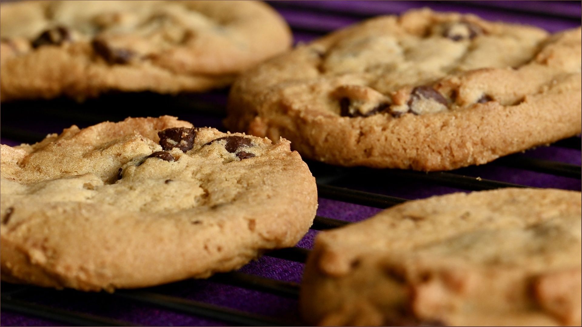 The Connecticut State Department of Consumer Protection recalls Florentine Cookies over undeclared peanut allergen concerns (Image via @dmarr1515 / Pixabay)