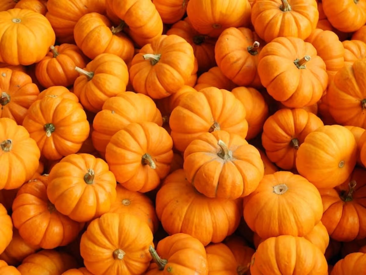 Beauty benefits of pumpkin (Image via Freepik)