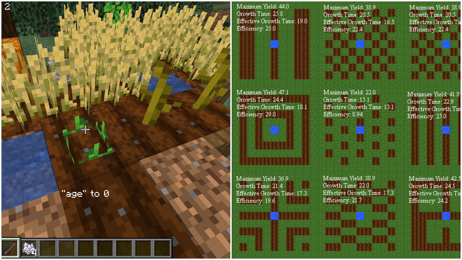 Crop growing in Minecraft