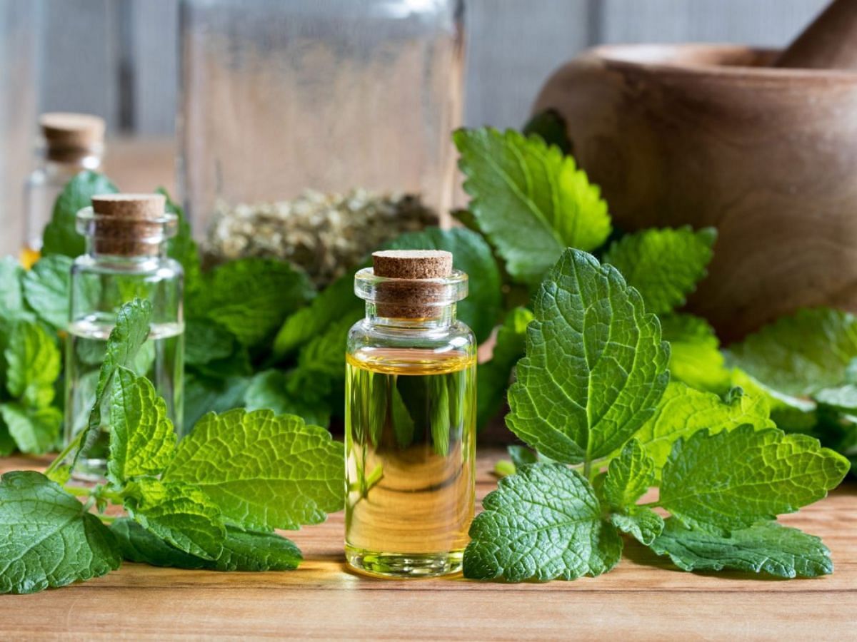 Beauty Benefits of Lemon balm: How to add this ingredient to your skin care routine