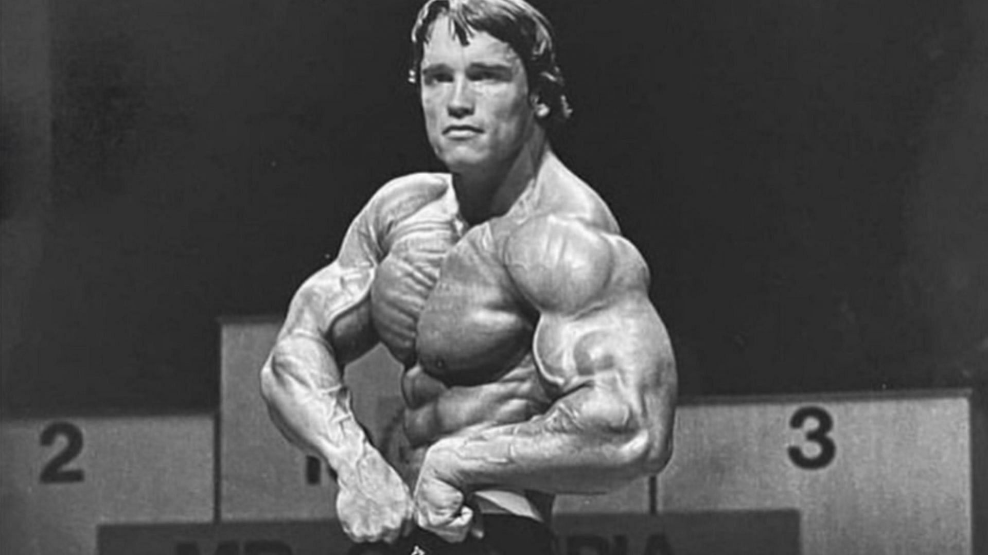 Arnold Schwarzenegger (Image via Instagram/@arnold_fan_club)
