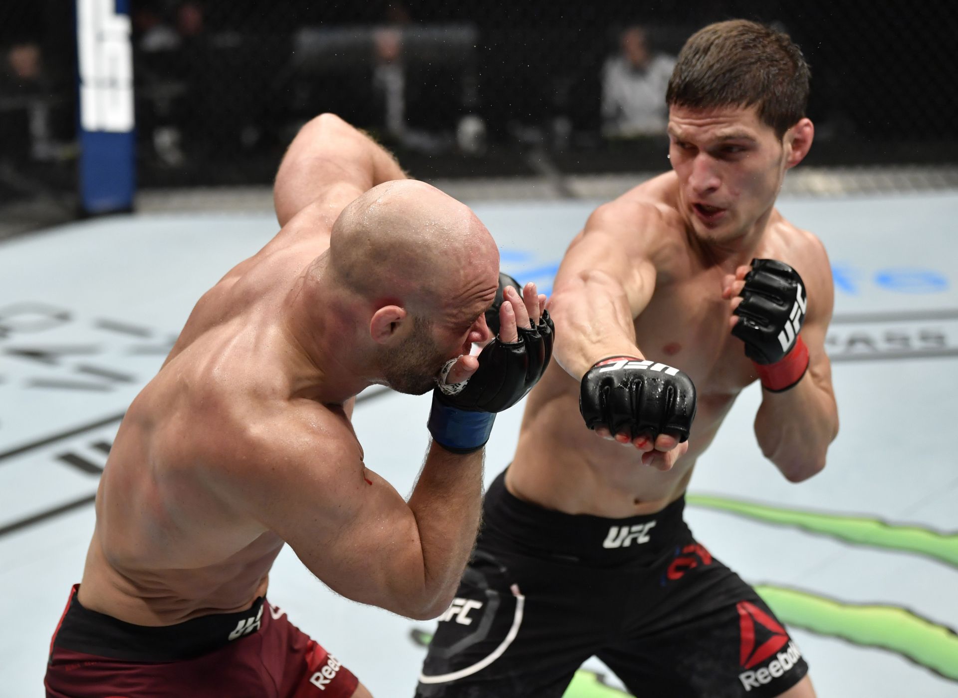 UFC Fight Night: Evloev v Grundy