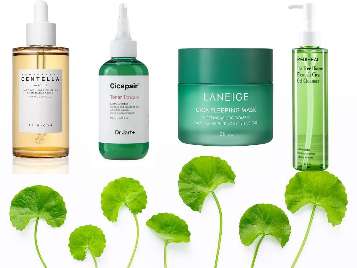 What is trending Korean skincare product Centella? (Image via Sportskeeda)