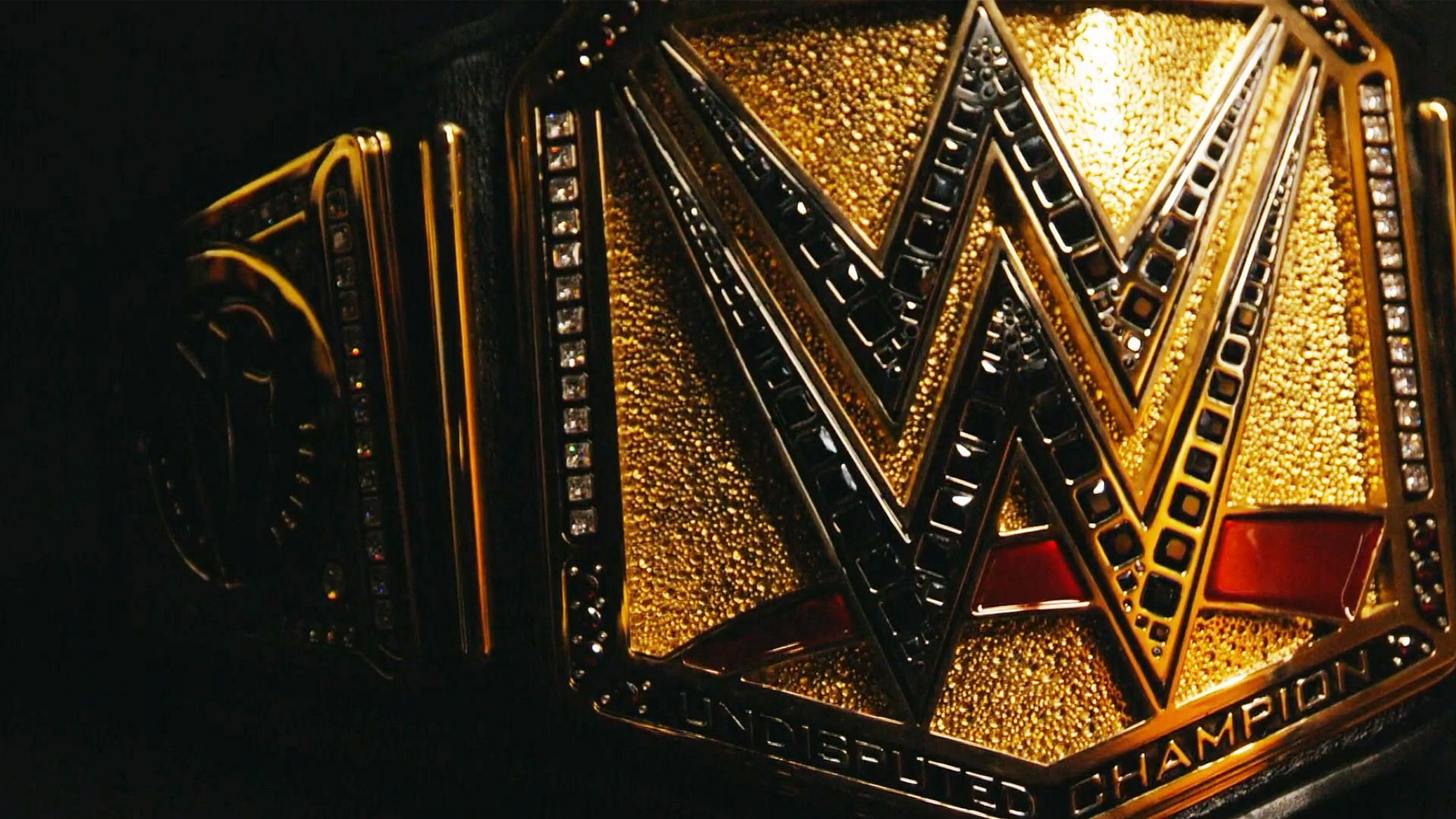 The Undisputed WWE Universal Championship will be on the line at Royal Rumble 2024