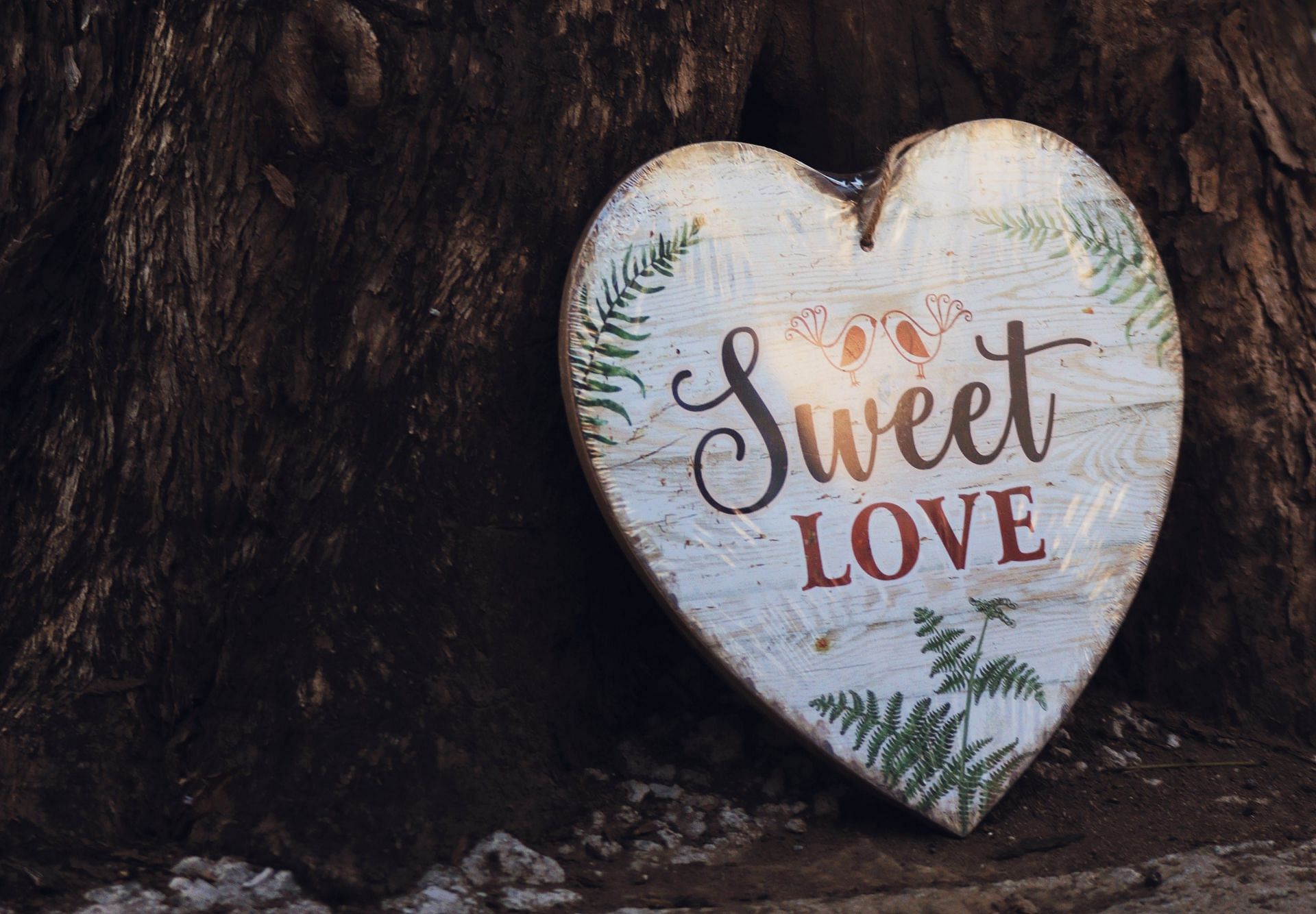Sweet Love Quotes (Image via Pexels)