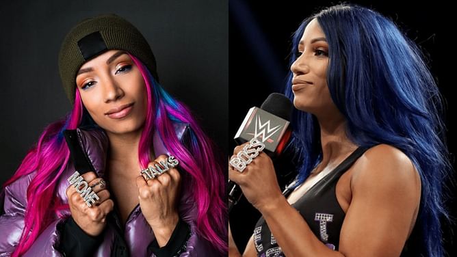 Sasha Banks reunites with former superstar outside of WWE