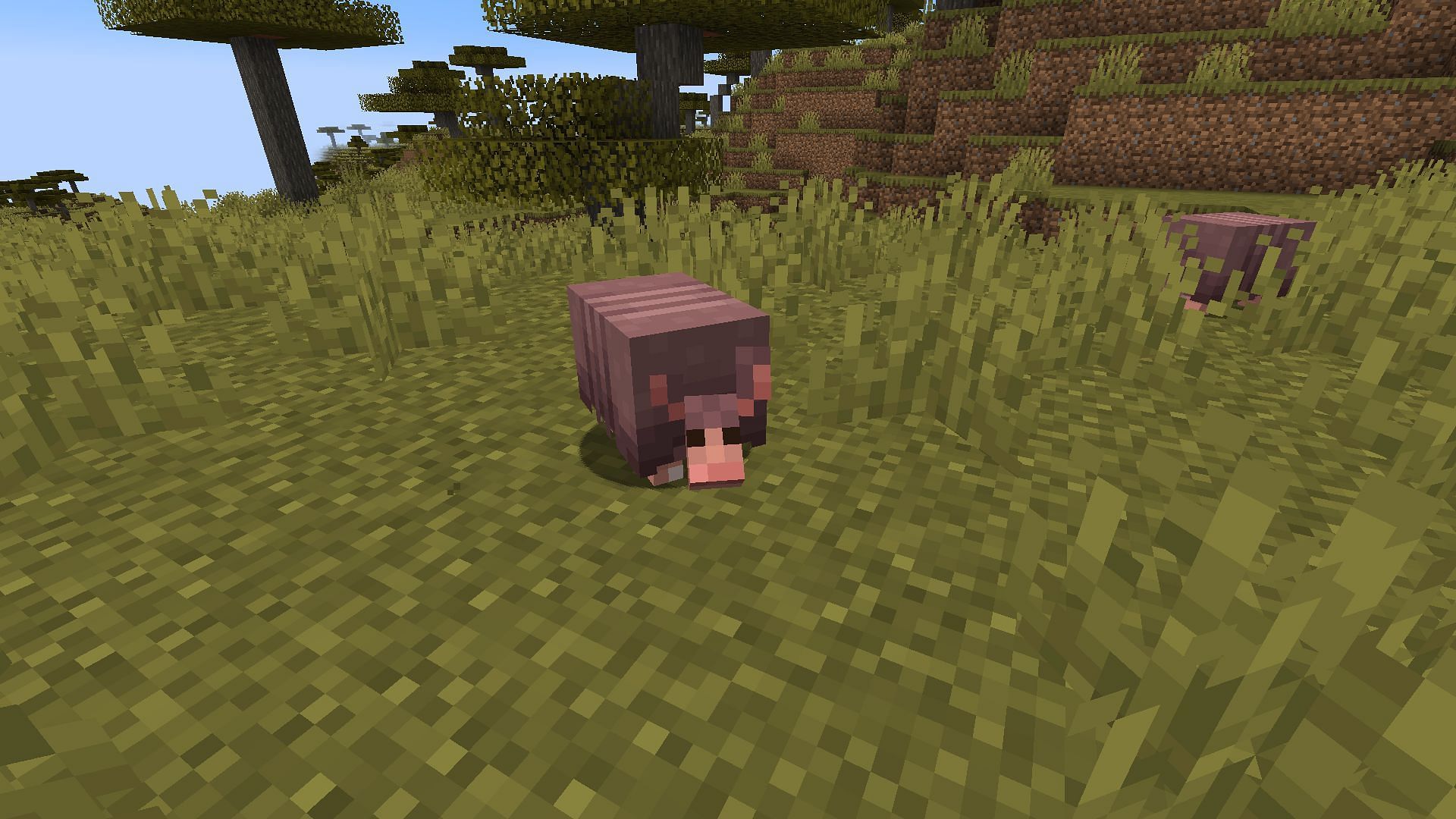 An armadillo as it currently appears in Minecraft.