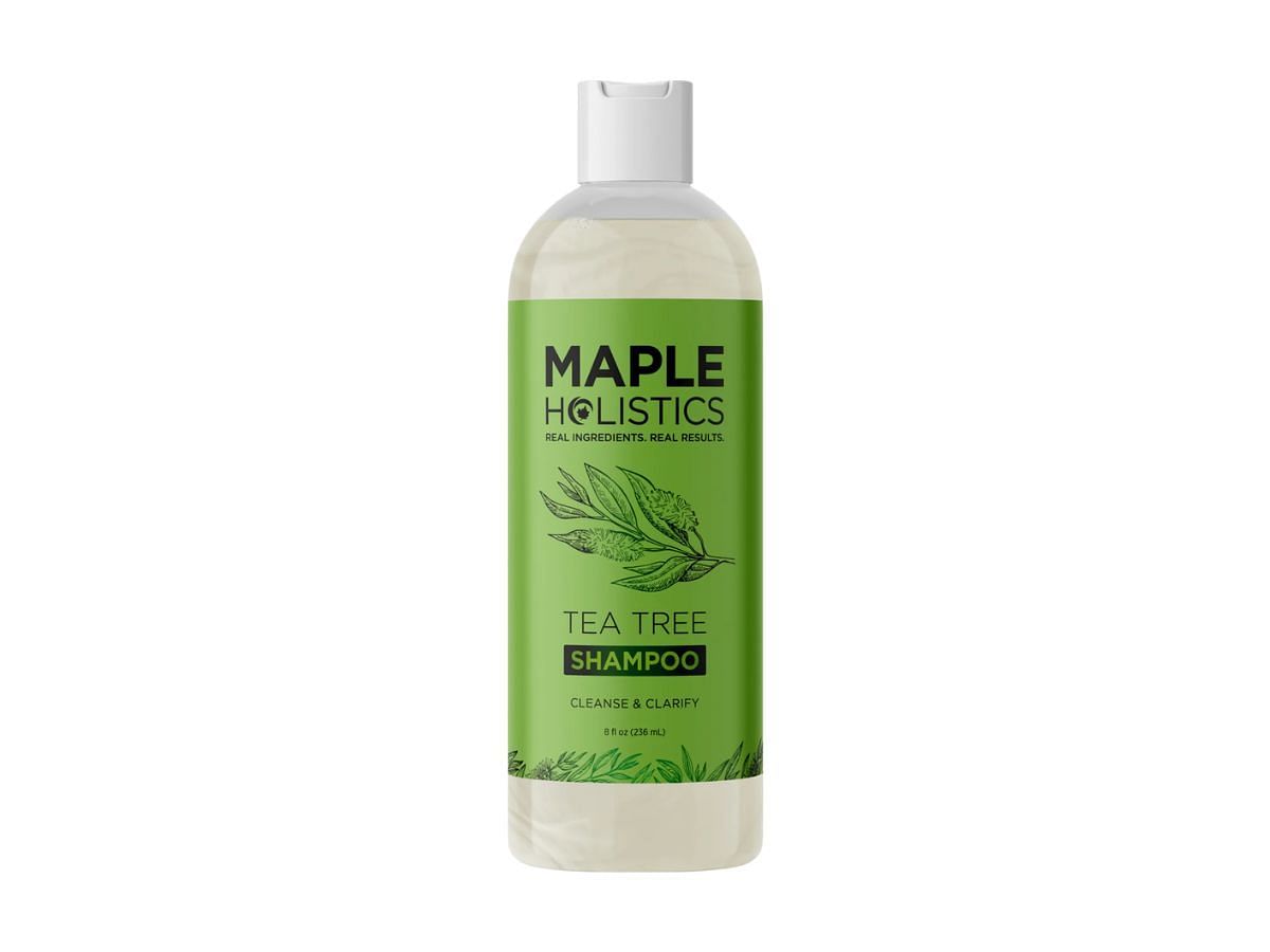 Maple Holistics Tea Tree Shampoo (Image via Maple Holistics)