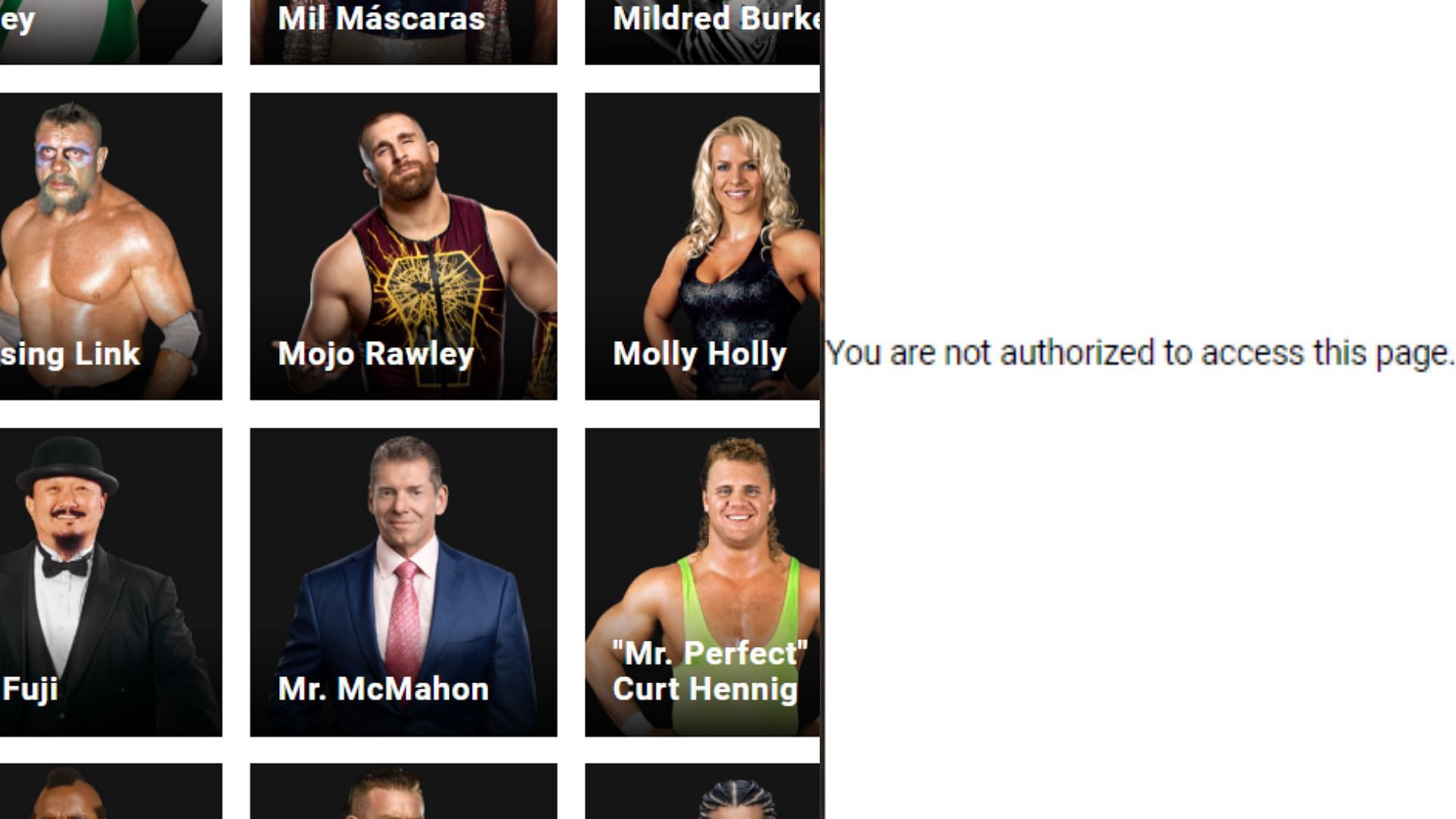 The profile can no longer be accessed (Screenshot from WWE.com)