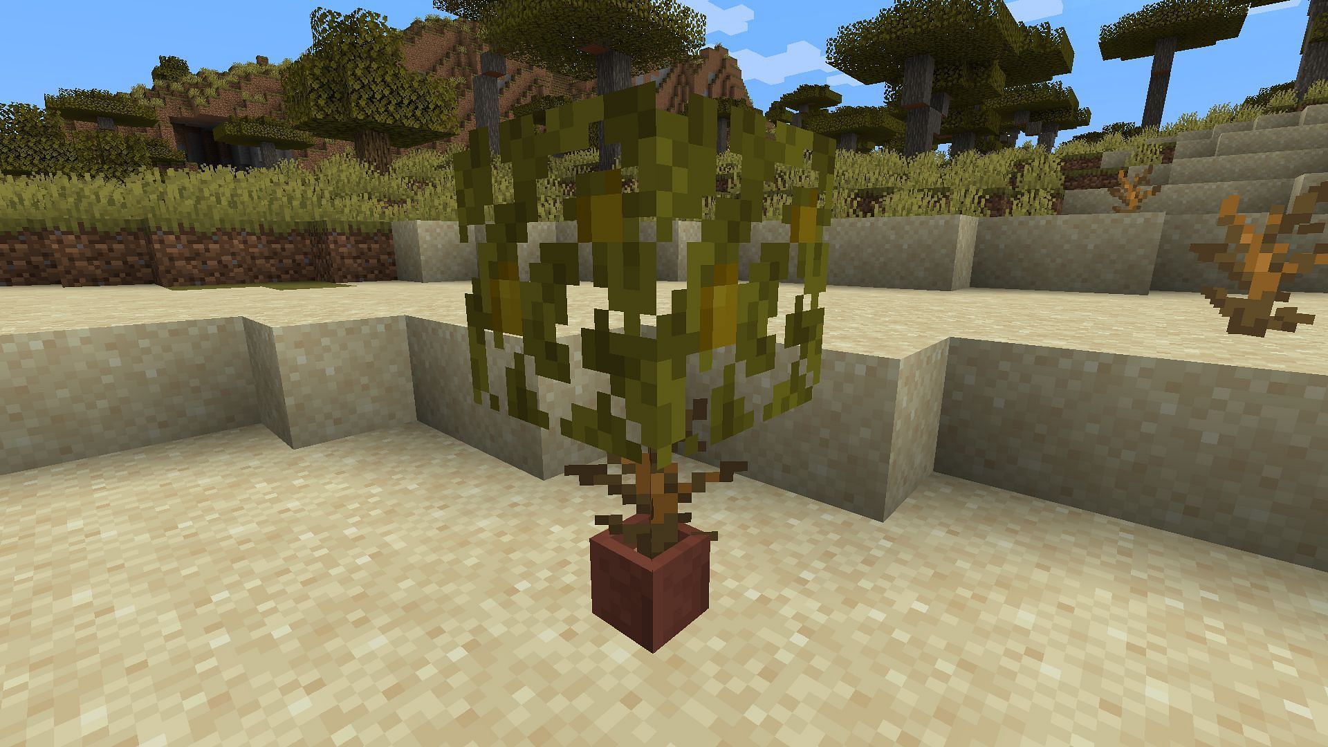 Dead bushes can be useful for creating custom plants in Minecraft (Image via Mojang)
