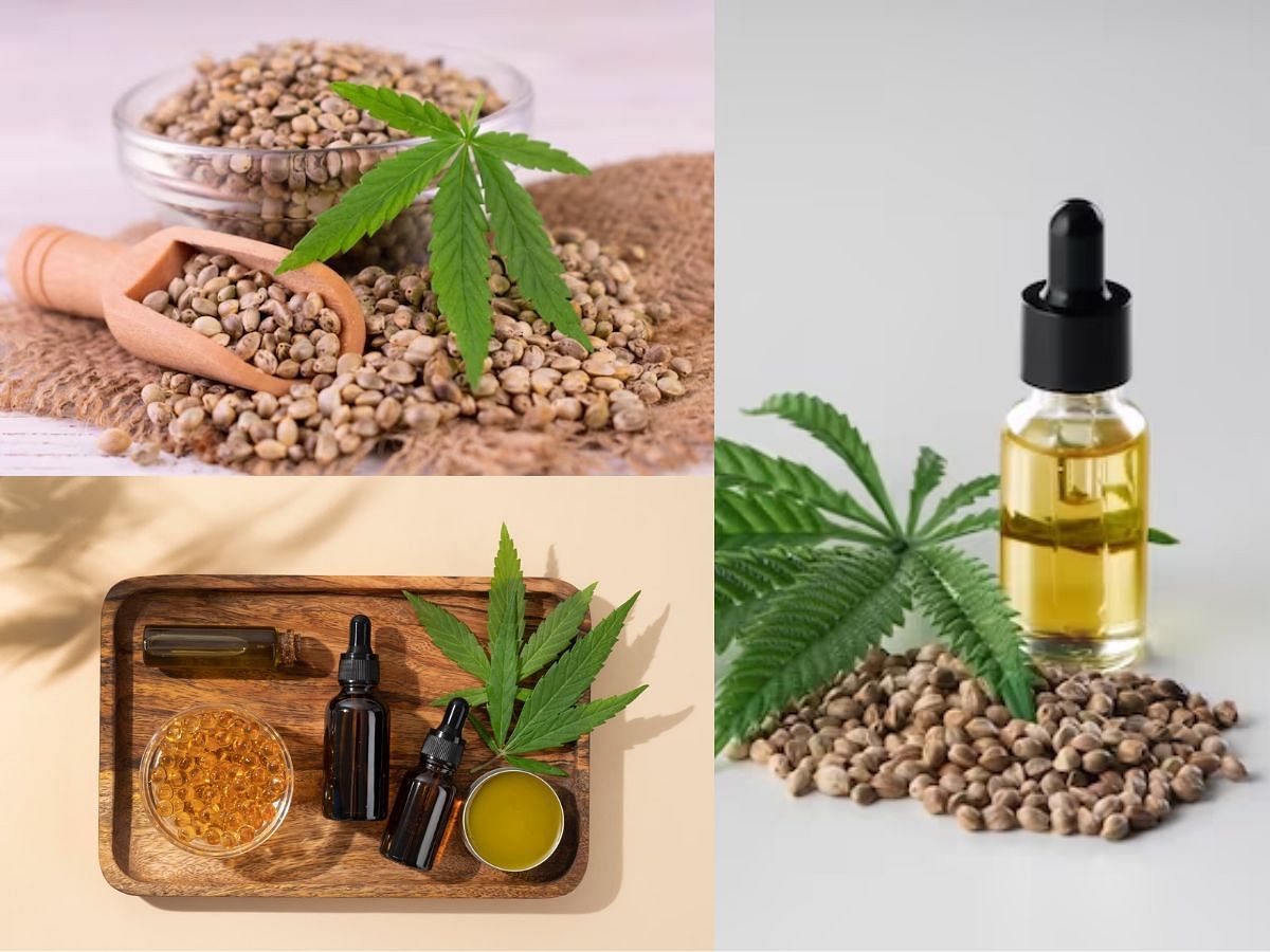 Hemp seeds and oil (image via Freepik)