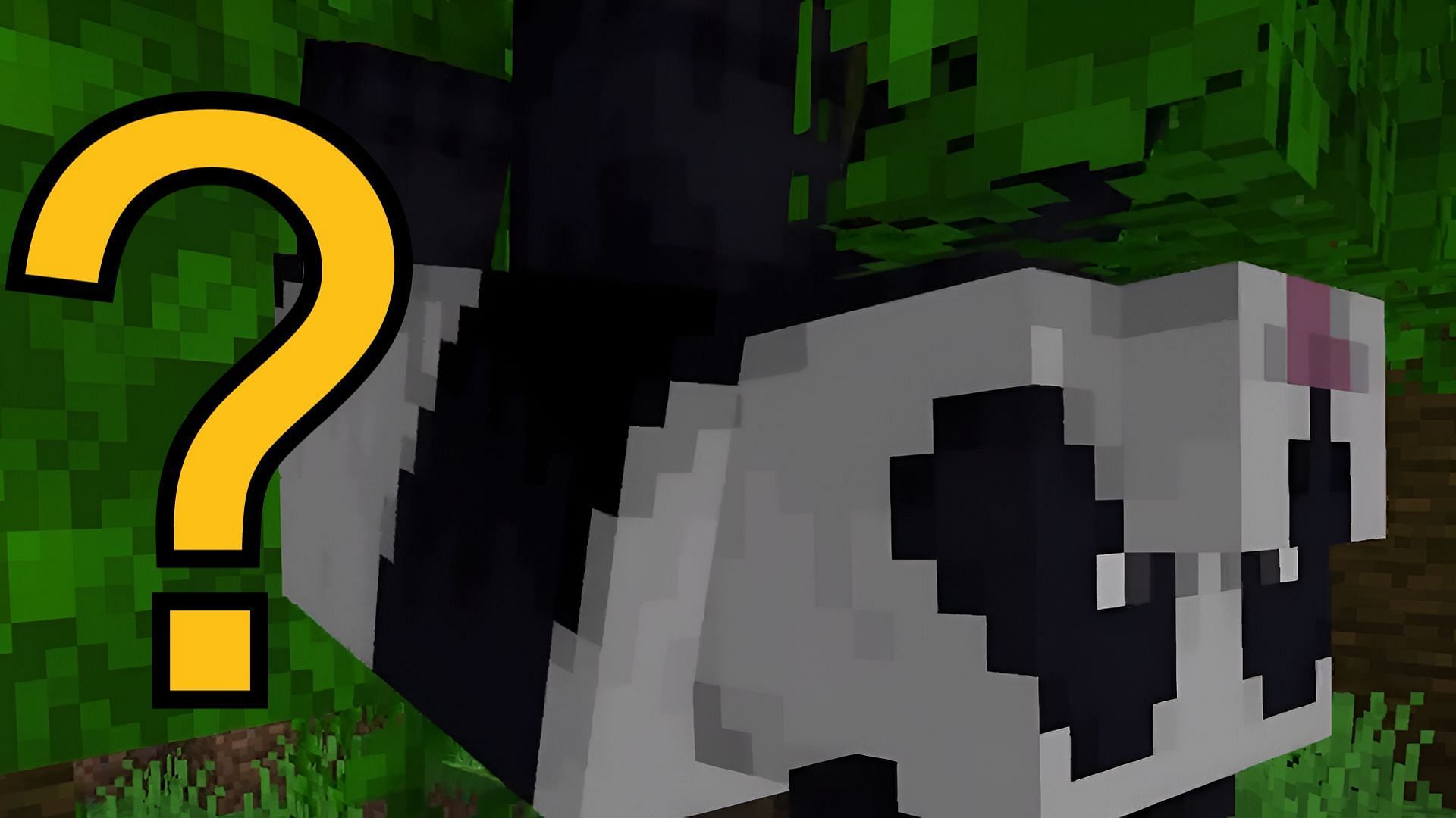 A spinning panda in a jungle biome in Minecraft.