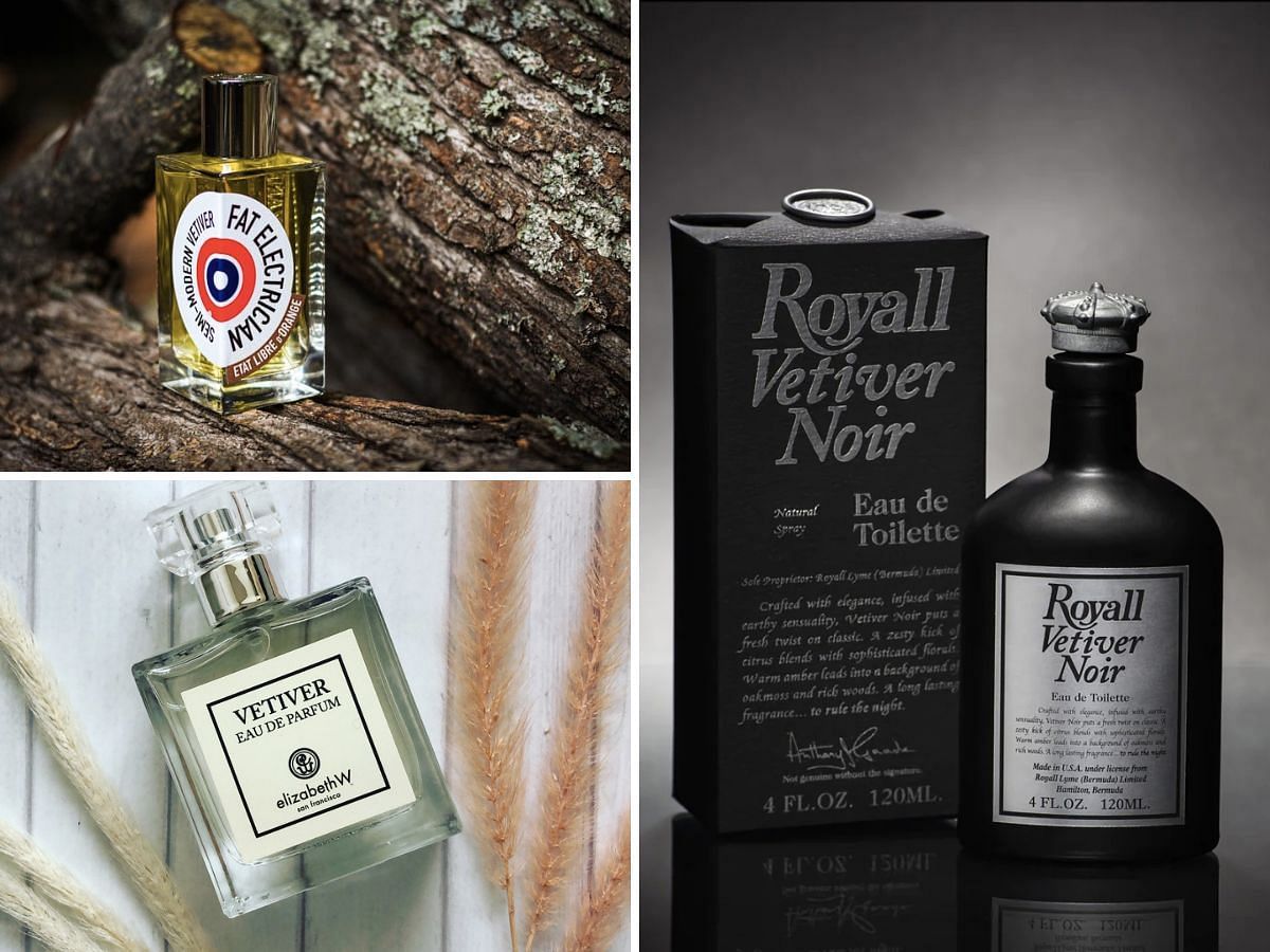 7 Best Vetiver colognes of 2024 to smell exotic