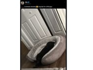 Slipz shares an update on the dog (Image via X/Slipperrz)