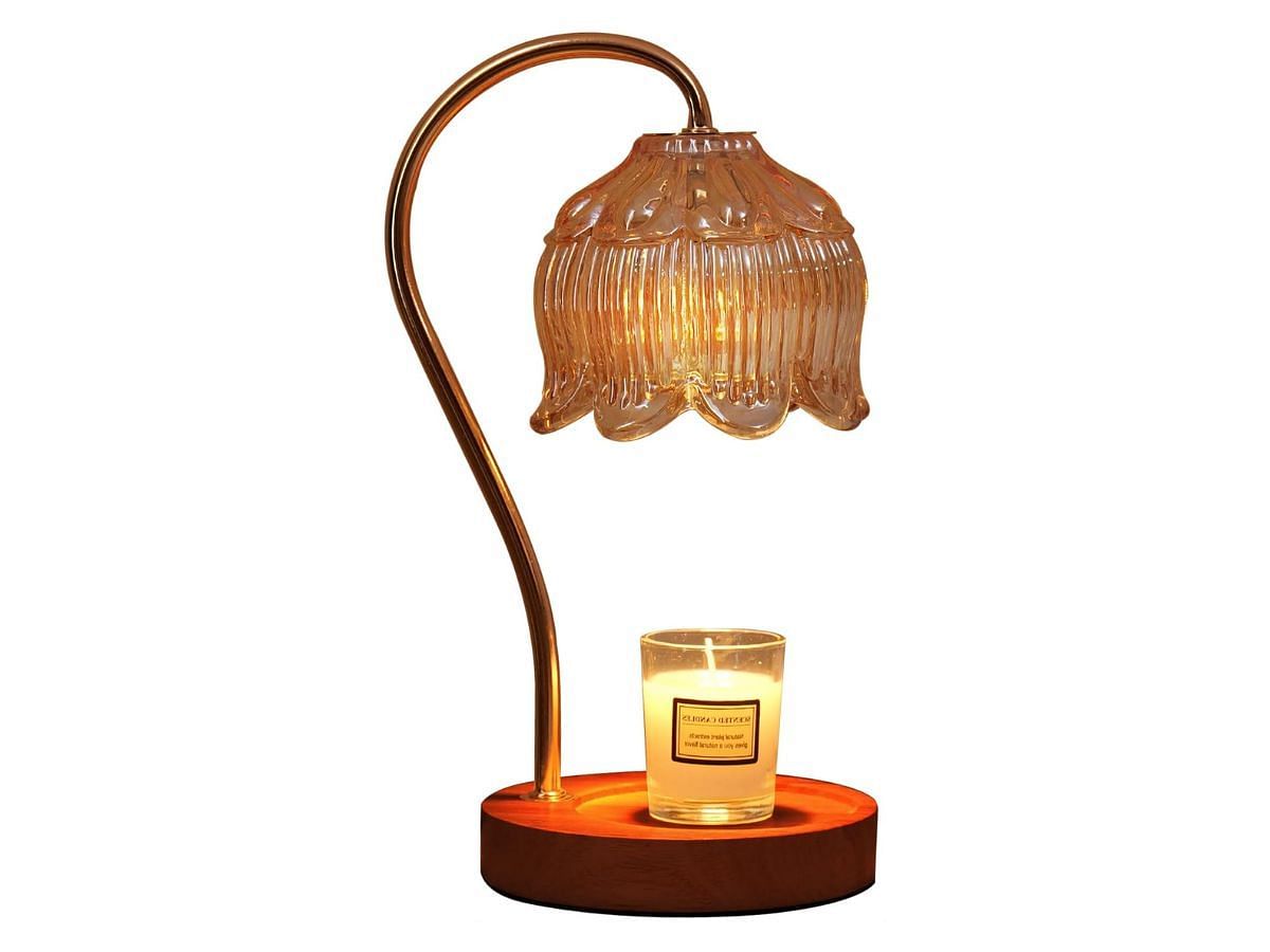 Geezo Warmer with Lamp (Image via Amazon)