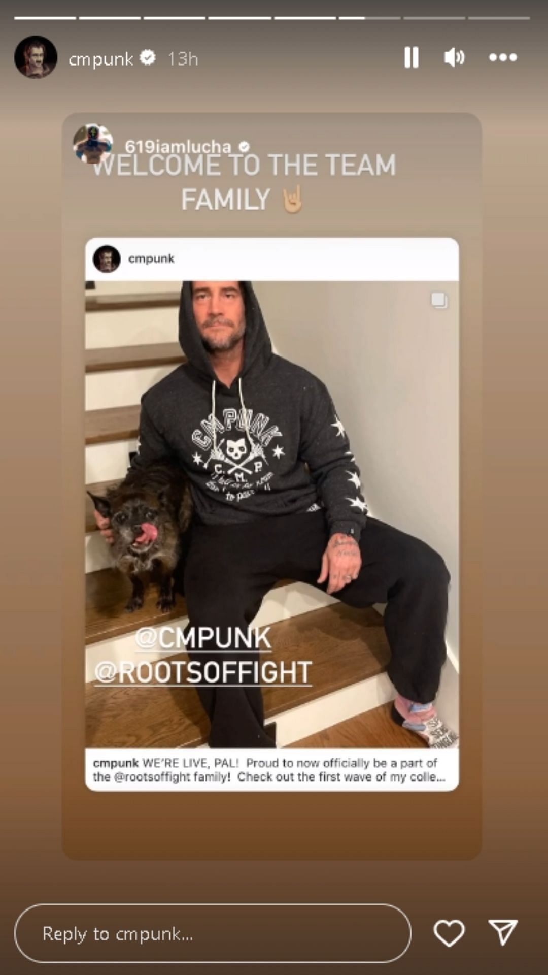 A screengrab of Punk&#039;s Instagram story.