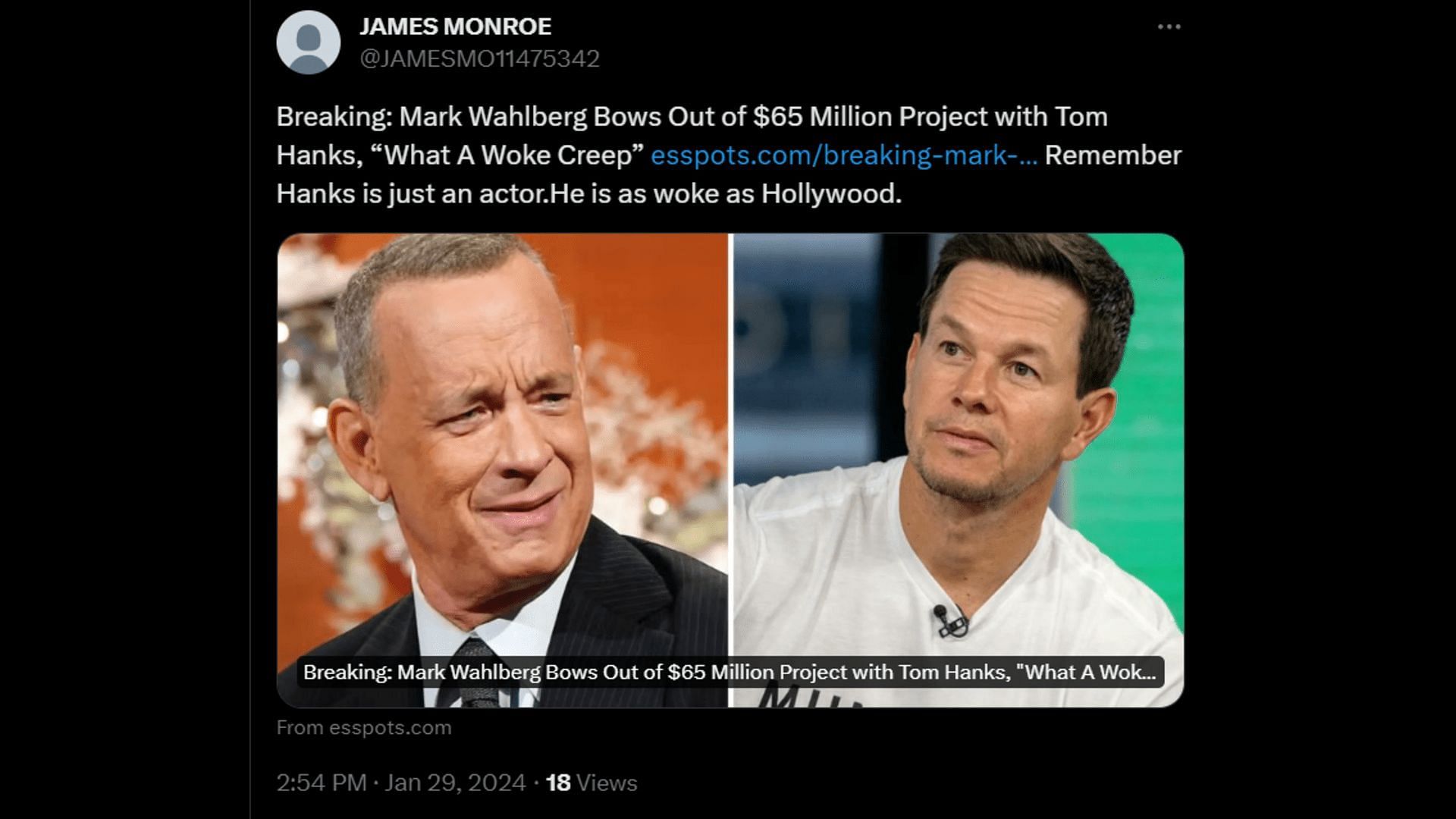 A netizen believes Wahlberg left a project for Hanks&#039; &quot;wokeness.&quot; (Image via X/JAMESMO11475342)