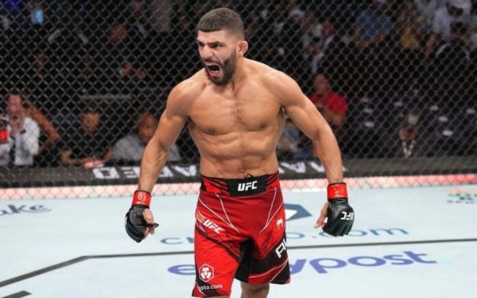 Amir Albazi is considered to be one of the top MMA fighters from Iraq today [Image courtesy: @amiralbazi on Instagram]