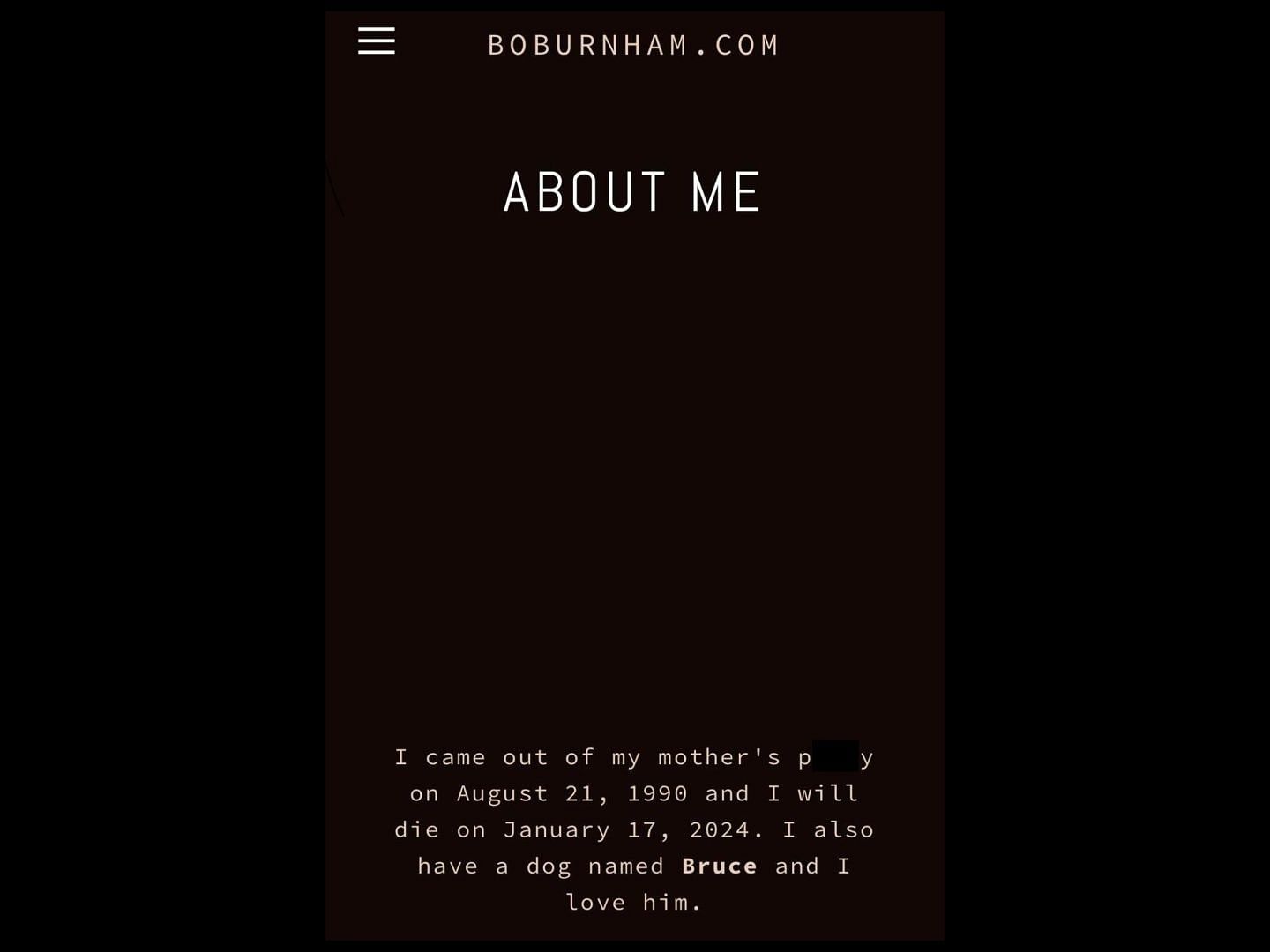 Bo Burnham&#039;s prediction on his website. (Image via X/@TANTRXMBEE)
