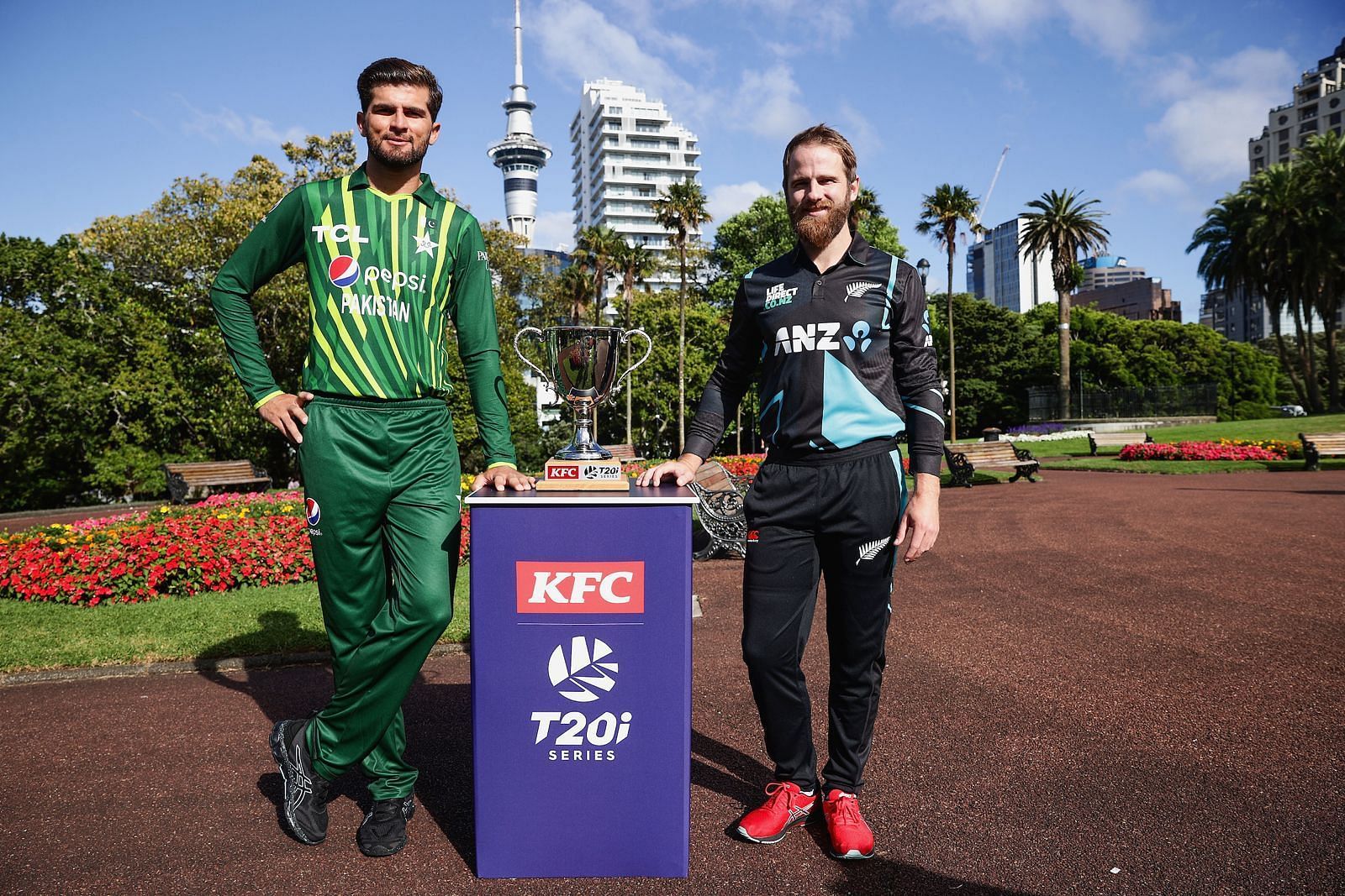 New Zealand Vs Pakistan, 1st T20I: Probable XI, Match Prediction, Pitch ...