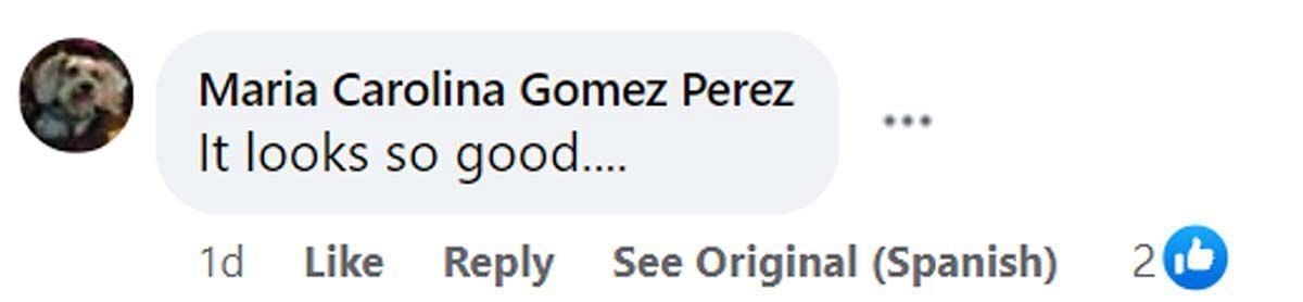 A comment reacting to the news (Image via Facebook/ @Maia Carolina Gomez Perz)
