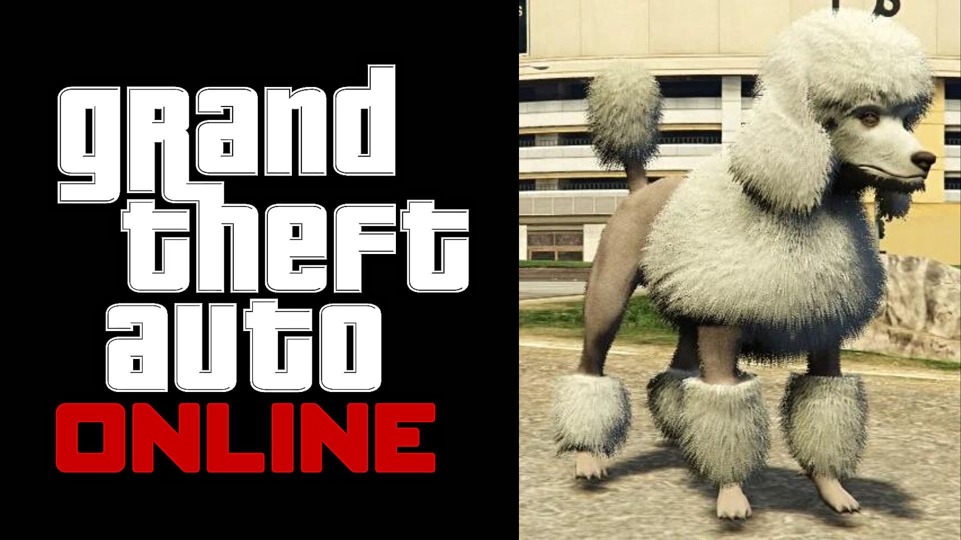 Poodle is one of the dogs in GTA 5 Online (Image via GTA Wiki, Rockstar Games)