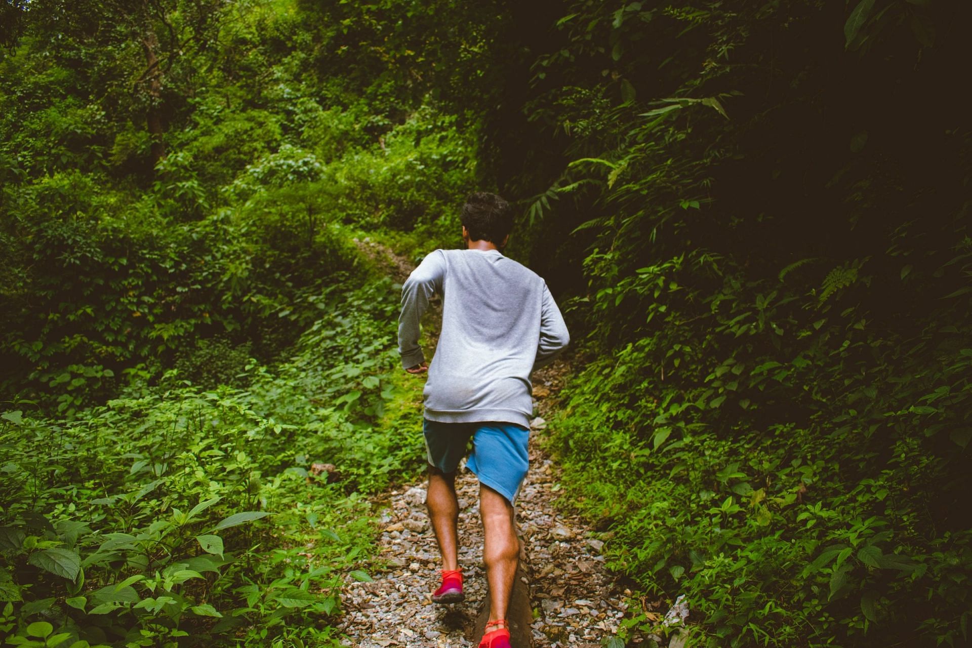 Sweating sickness (Image via Unsplash/Shashank Shekhar)