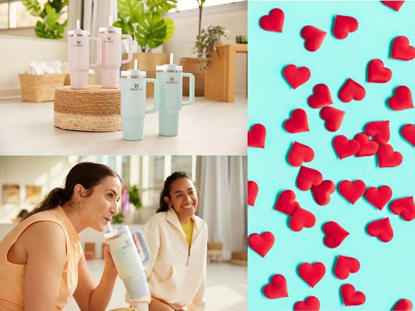 Valentine\'s Day Stanley tumbler and 5 dupes you can get to impress your  loved one