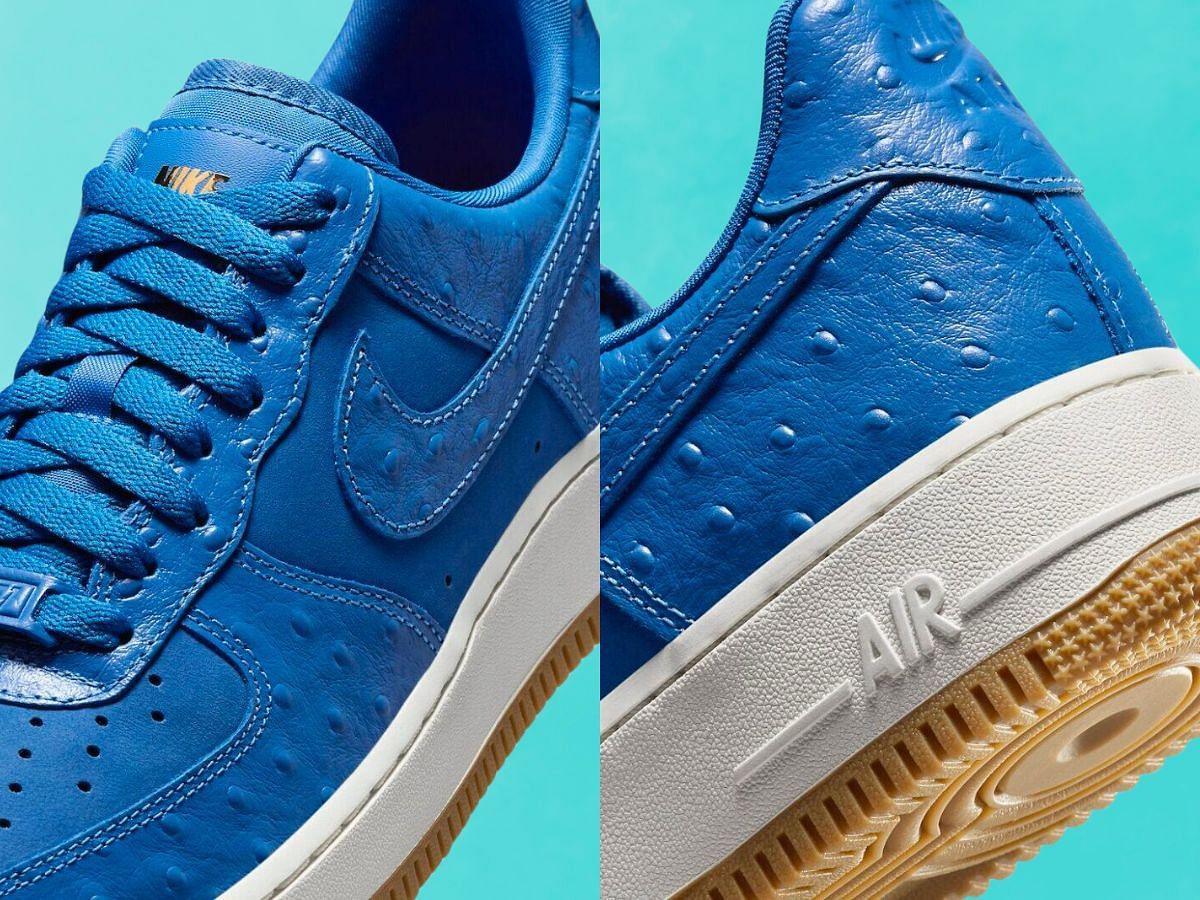 Take a look at heels and tongue areas of the Nike Air Force 1 Low Blue Ostrich sneakers (Image via Nike)