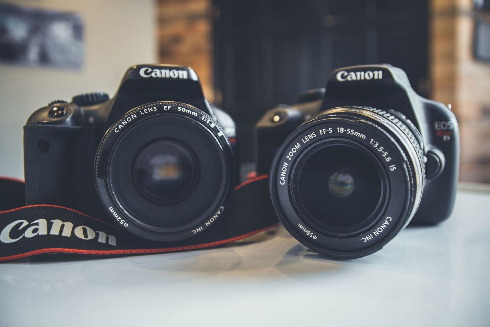 5 best canon cameras in 2024 (Image via Unsplash)