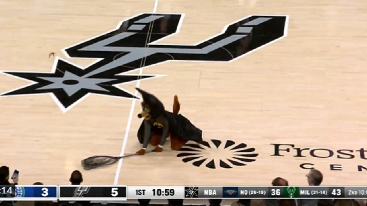 The San Antonio Spurs mascot, &quot;The Coyote,&quot; successfully chased down and caught a bat on Saturday.